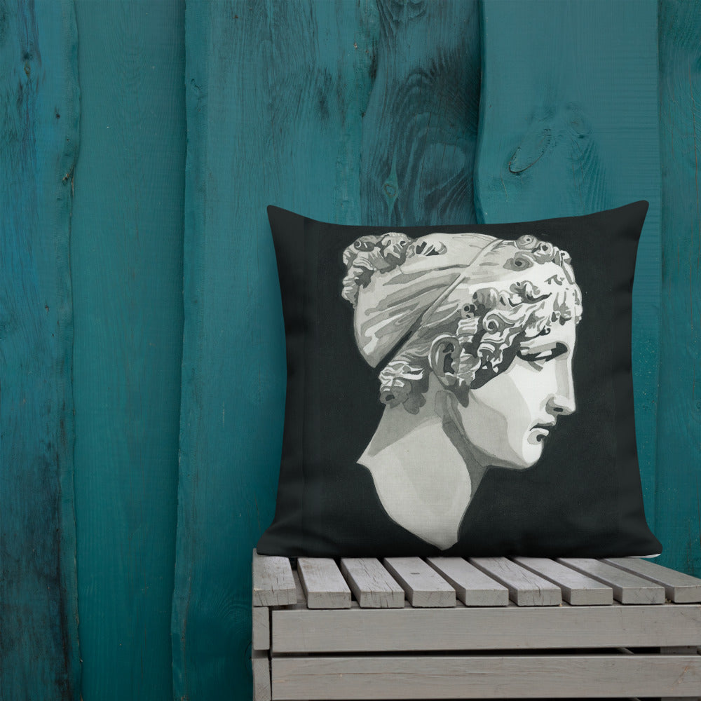 Calliope design by Kirsten Blackburn on 22x22 premium pillow