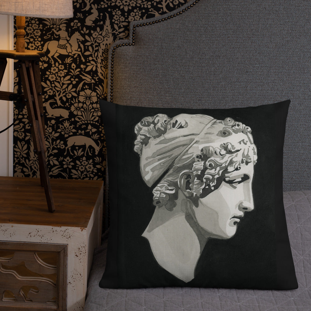 Calliope design by Kirsten Blackburn on 22x22 premium pillow