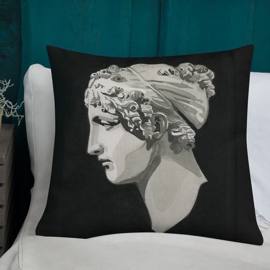 Calliope design by Kirsten Blackburn on 22x22 premium pillow