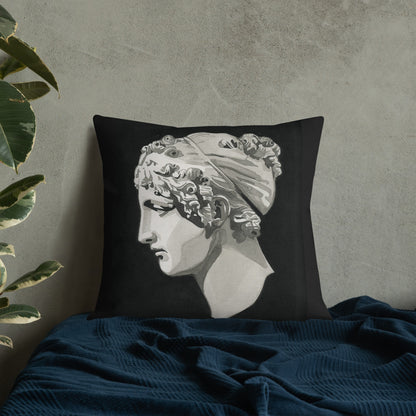 Calliope design by Kirsten Blackburn on 22x22 premium pillow