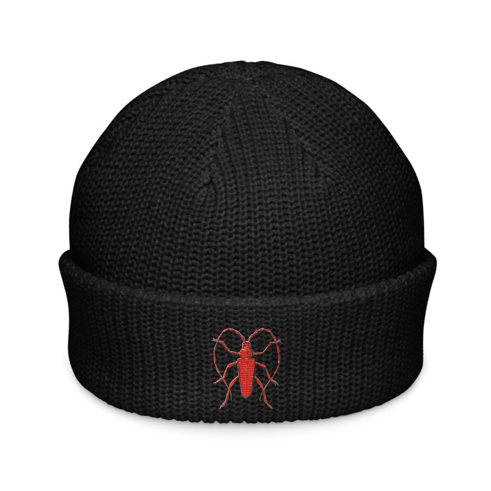 Red Beetle design by Kirsten Blackburn on fisherman beanie