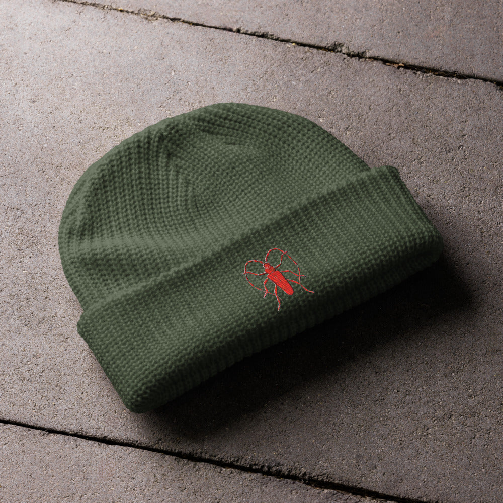 Red Beetle design by Kirsten Blackburn on fisherman beanie