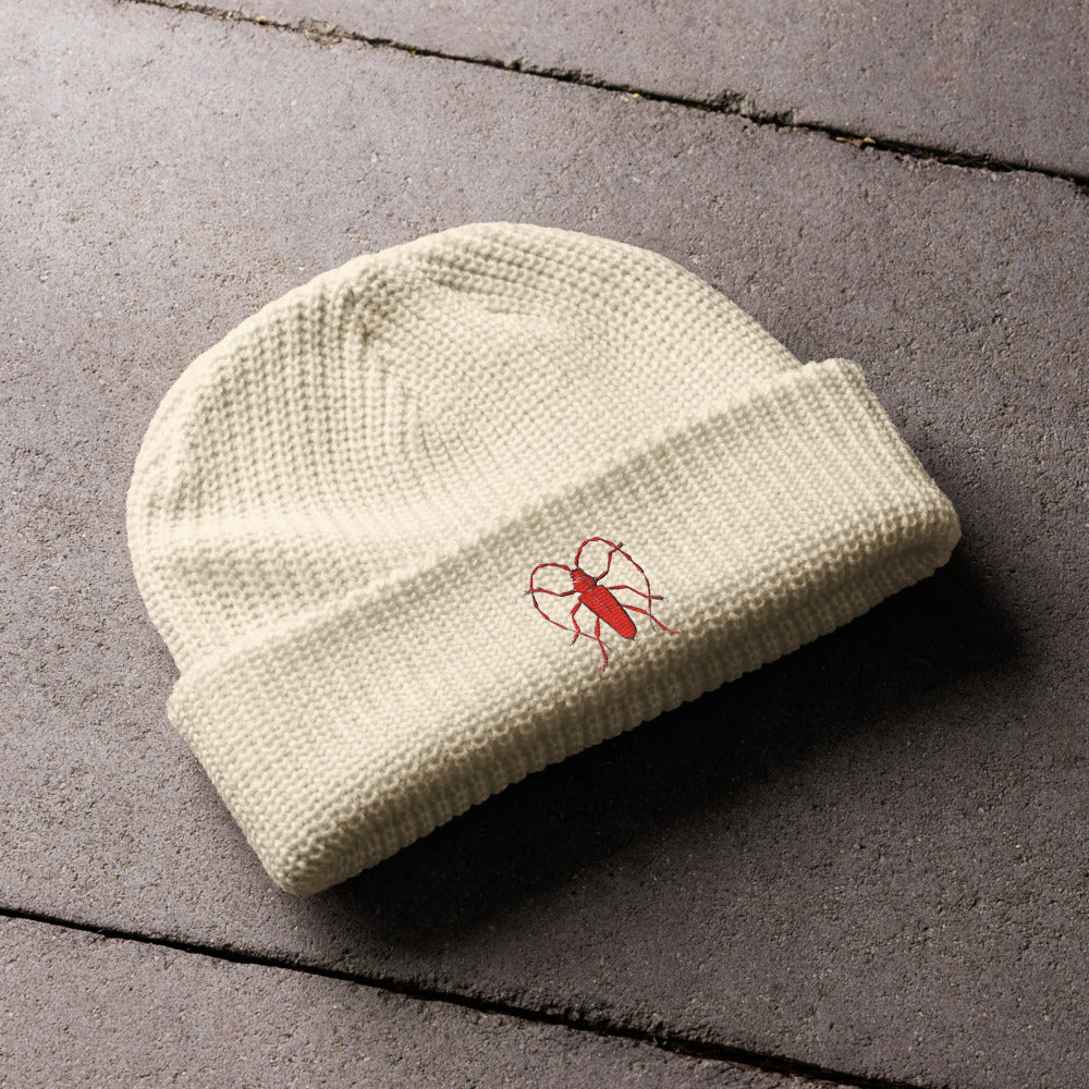 Red Beetle design by Kirsten Blackburn on fisherman beanie