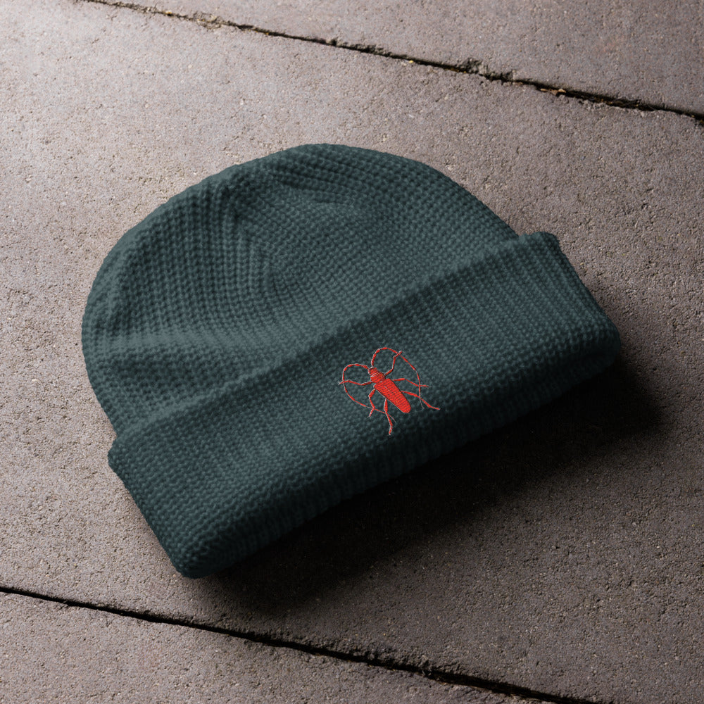 Red Beetle design by Kirsten Blackburn on fisherman beanie