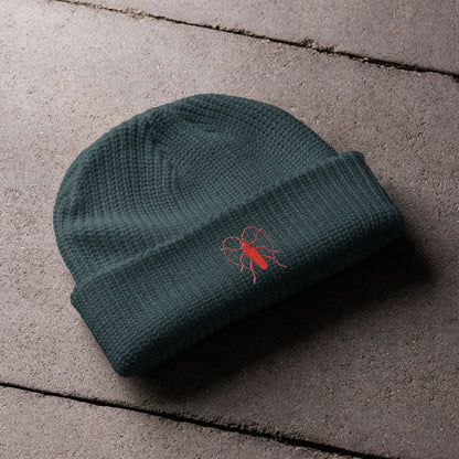 Red Beetle design by Kirsten Blackburn on fisherman beanie