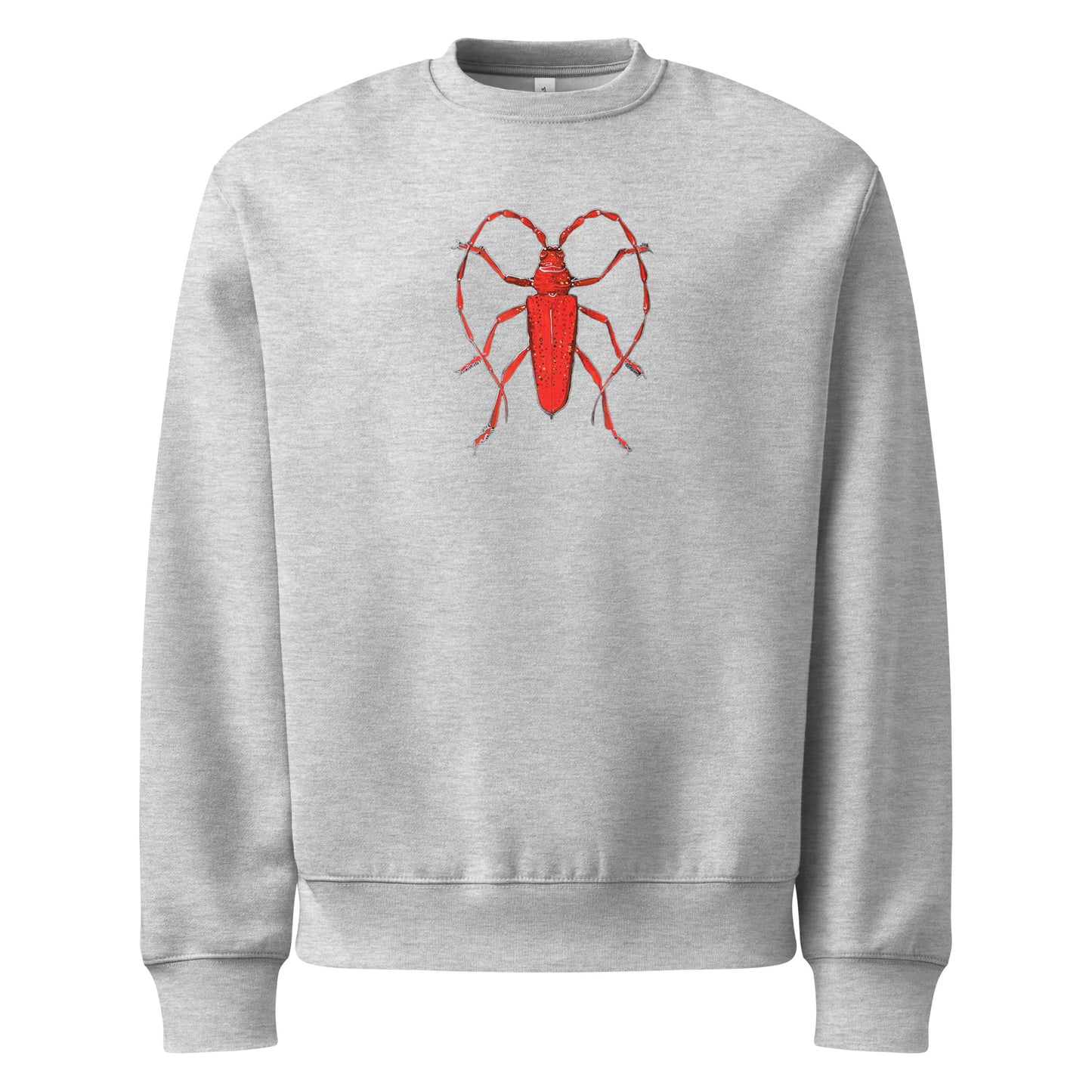 Red Beetle design by Kirsten Blackburn on oversized heavyweight sweatshirt