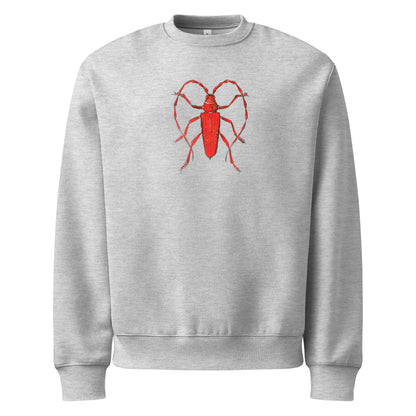 Red Beetle design by Kirsten Blackburn on oversized heavyweight sweatshirt