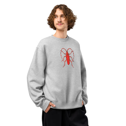 Red Beetle design by Kirsten Blackburn on oversized heavyweight sweatshirt