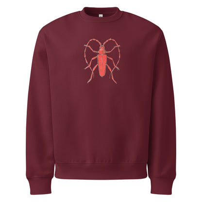 Red Beetle design by Kirsten Blackburn on oversized heavyweight sweatshirt