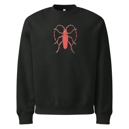 Red Beetle design by Kirsten Blackburn on oversized heavyweight sweatshirt