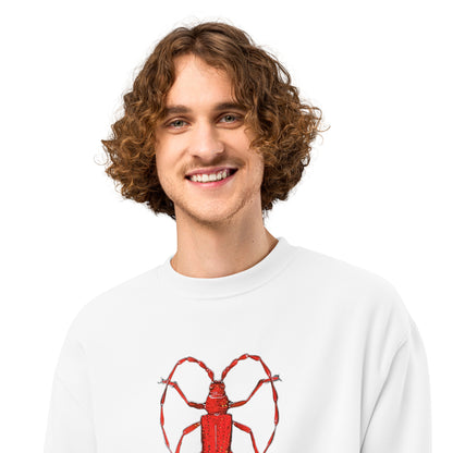 Red Beetle design by Kirsten Blackburn on oversized heavyweight sweatshirt