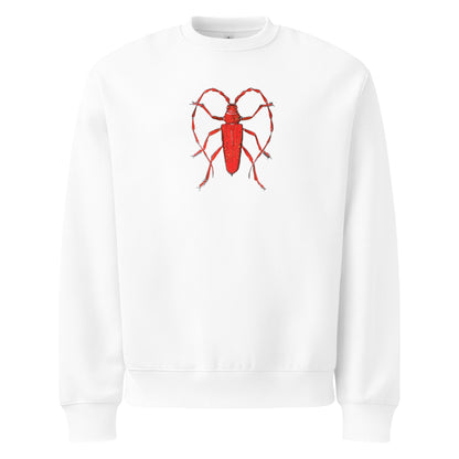 Red Beetle design by Kirsten Blackburn on oversized heavyweight sweatshirt